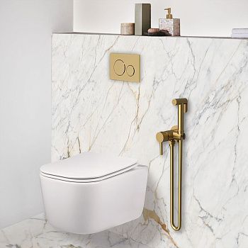 Гигиенический душ Vincea VHFW-101BG золото