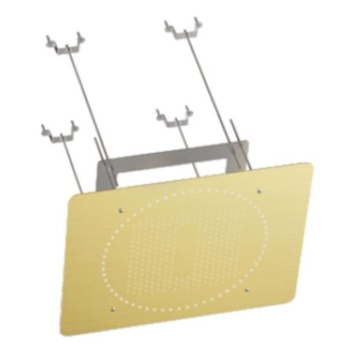 Верхний душ Raglo R452.03.03 золото - фото 2