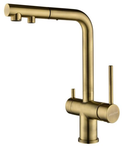 Смеситель для кухни Paulmark SERPENTINE Se213222-BR на мойку бронза