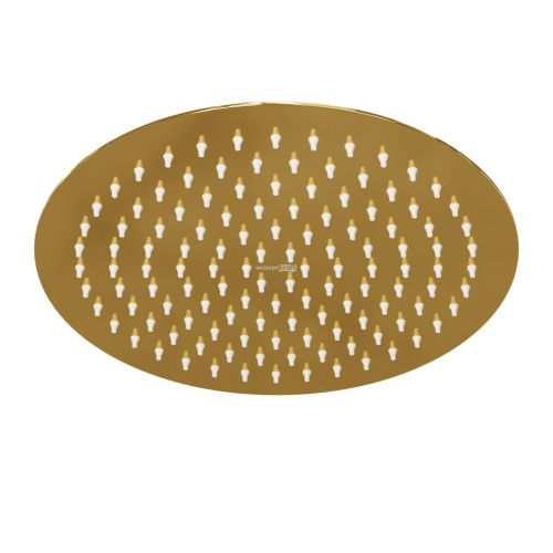 Верхний душ Wasserkraft Sauer 7100 A208 золото - фото 2