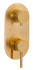 Смеситель для душа Remer X Style X92KBBG встраиваемый в стену золото