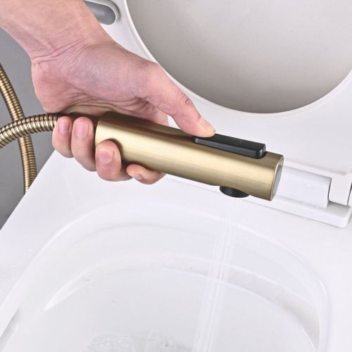 Гигиенический душ со смесителем Shevanik S6105G-1 золото - фото 4