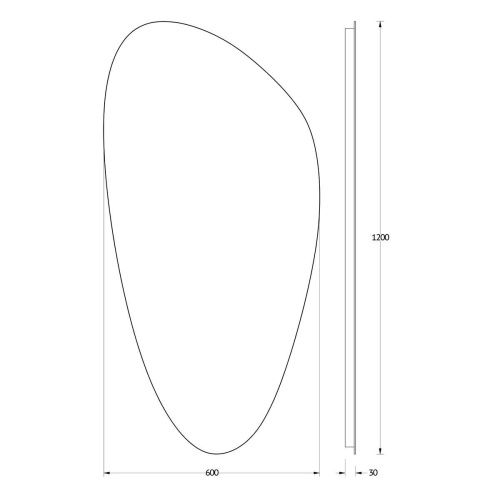 Зеркало с подсветкой Evoform Ledshine BY 2583 60х120 подвесное - фото 2