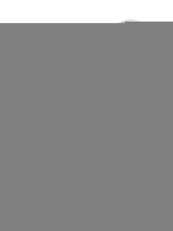 Смеситель Wonzon & Woghand Triumph WW-561101-CR на раковину хром