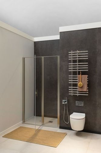 Душевая дверь Allen Brau Priority 3.31029.BA 100х200 стекло прозрачное профиль серебро - фото 5