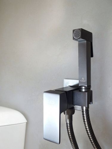 Гигиенический душ со смесителем AltroBagno BM AltroBagnoBM060121GM оружейная сталь - фото 2