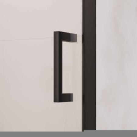 Душевая дверь RGW Passage 350800813-24 120х195 стекло матовое профиль черный