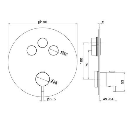 Смеситель для душа Newform X-STEEL 316 70427EX.59.098 встраиваемый в стену золото с термостатом