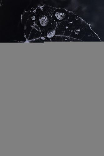 Раковина керамическая Allen Brau Fantasy 4.11021.20 50х40 накладная цвет белый без отверстий под смеситель - фото 4