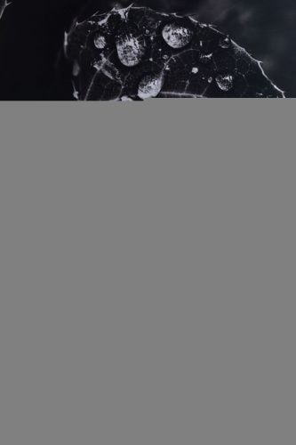 Раковина керамическая Allen Brau Fantasy 4.11022.IV 60х40 накладная цвет бежевый без отверстий под смеситель - фото 5