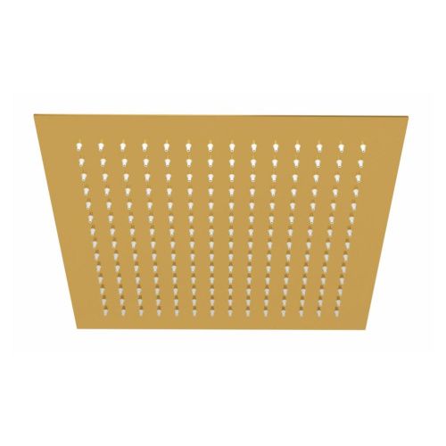 Верхний душ Wasserkraft Sauer 7100 A261 золото - фото 2