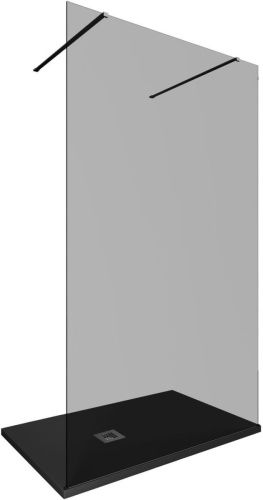 Душевая перегородка Allen Brau Infinity 3.21044.BA.T 120х200 стекло тонированное профиль серебро - фото 2