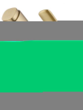 Смеситель Wonzon & Woghand WW-AE4151-BG на раковину золото