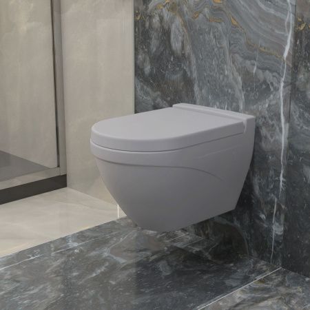 Крышка сиденье Ambassador Nord 132T20301