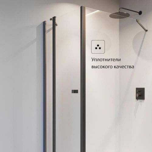 Душевая дверь Roca CAPITAL 7.M461.0.016.M 100х195 стекло прозрачное профиль черный - фото 4