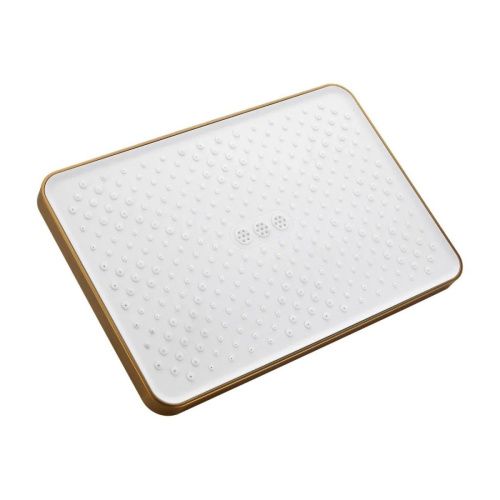 Верхний душ Belz BD02-5 золото - фото 2