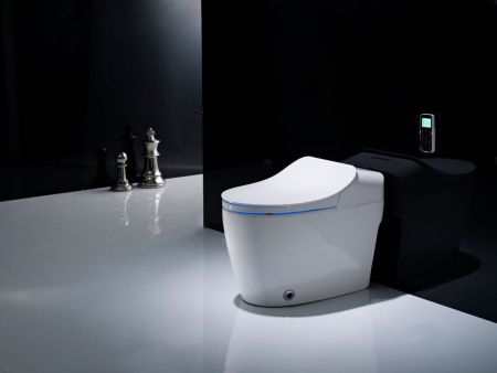 Электронный унитаз-биде напольный Timo TE-721 белый с сиденьем микролифт безободковый каскадный смыв