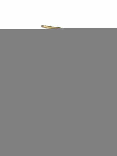 Смеситель Wonzon & Woghand WW-A40492-BG на раковину золото - фото 2