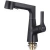 Смеситель для кухни D-Lin D158374-A на мойку черный