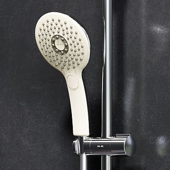 Душевая лейка Am.Pm Inspire V2.0 F0250A000 цвет хром