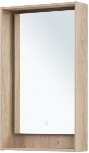 Зеркало с подсветкой Aquanet Милан 00336402 50х80 подвесное - фото 3