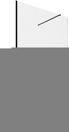 Душевая перегородка Allen Brau Infinity 3.21021.BBA 120х200 стекло прозрачное профиль черный