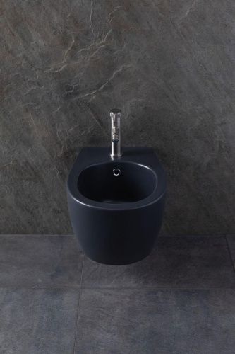 Биде подвесное Allen Brau Fantasy 4.11006.AN цвет черный - фото 5