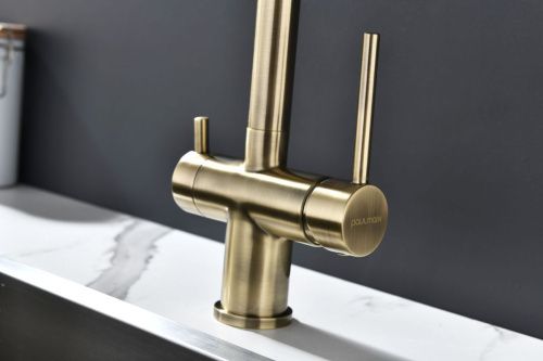 Смеситель для кухни Paulmark SERPENTINE Se213222-BR на мойку бронза - фото 5