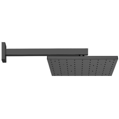 Верхний душ Webert Comfort AC0392560METAL черный - фото 2