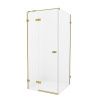 Душевой уголок New Trendy AVEXA Gold EXK-1762 120х100 стекло прозрачное профиль золото без поддона