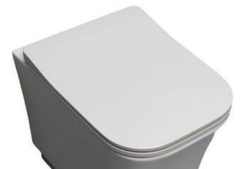 Крышка сиденье White Ceramic Idea WC100SFMSL