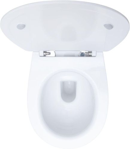 Комплект унитаз с инсталляцией и клавишей смыва Allen Brau Fantasy 00316504 - фото 5