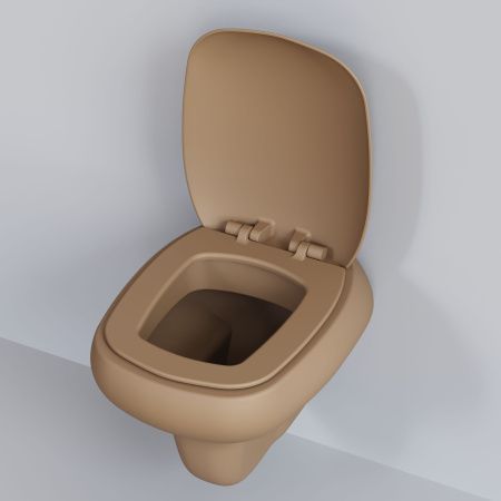 Крышка сиденье Ambassador Diamond 122T20501