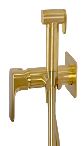 Гигиенический душ со смесителем Daniel TA645BP4DCDP золото - фото 2