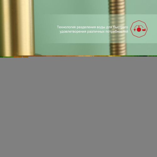 Душевая стойка Raglo R03 R03.24.03 настенная цвет золото - фото 5