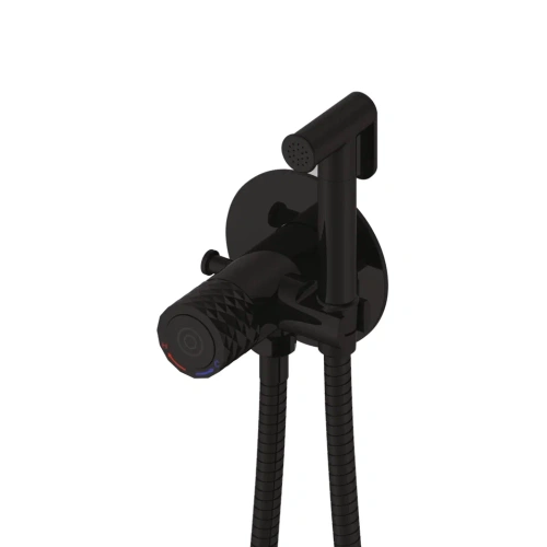 Гигиенический душ со смесителем Rose R225H черный - фото 2