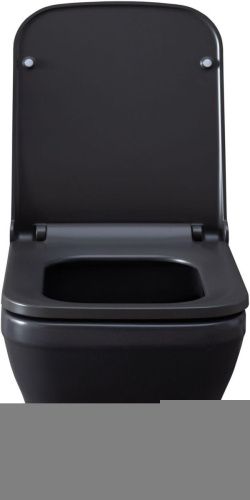 Чаша унитаза подвесная Allen Brau Infinity 4.21011.AN цвет черный без сиденья безободковая каскадный смыв - фото 5