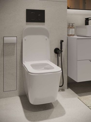 Клавиша смыва механическая Agger APB0144 цвет черный - фото 3