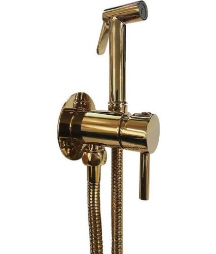 Гигиенический душ со смесителем Paffoni Tweet Round ZDUP110HG золото - фото 2