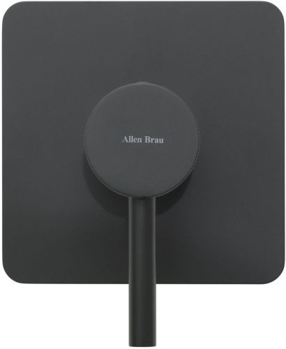 Смеситель для душа Allen Brau Priority 5.31012-31 встраиваемый в стену черный - фото 3
