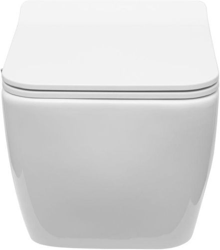 Чаша унитаза подвесная Allen Brau Liberty 4.33009.20 цвет белый без сиденья безободковая каскадный смыв - фото 3