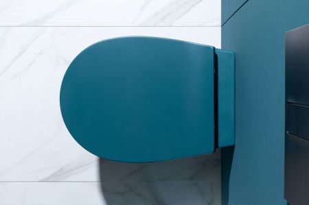 Крышка сиденье Allen Brau Fantasy 4.11005.PT