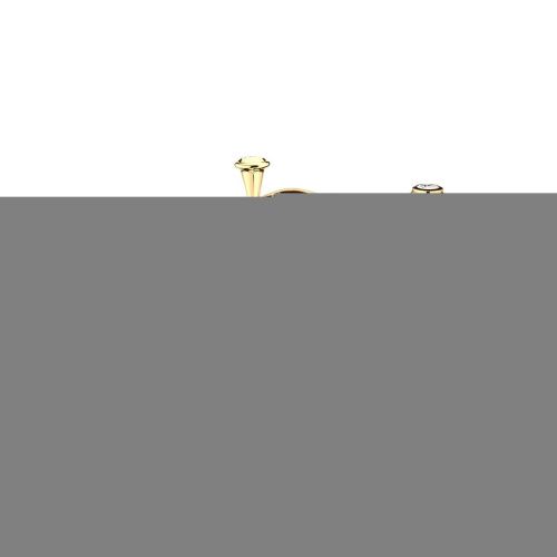 Смеситель Webert Dorian DO710202010 на биде золото - фото 2