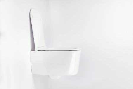 Чаша унитаза подвесная Galassia Meg11Pro 5486 цвет белый без сиденья безободковая каскадный смыв