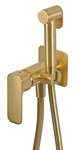 Гигиенический душ со смесителем Daniel TA645BP4DCDP золото - фото 3
