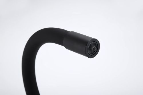 Смеситель для кухни Paulmark SALIX Sa213419-AN на мойку черный - фото 2