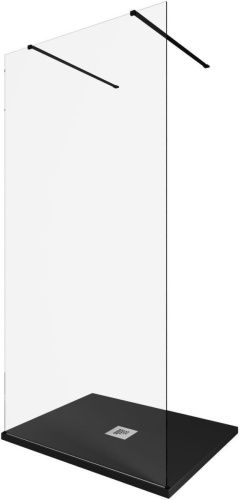 Душевая перегородка Allen Brau Infinity 3.21039.BBA 100х200 стекло прозрачное профиль черный - фото 4