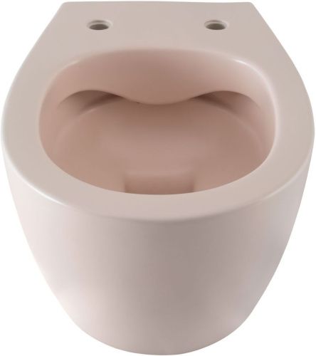 Чаша унитаза подвесная Allen Brau Fantasy 4.11004.SM цвет розовый без сиденья безободковая каскадный смыв - фото 2