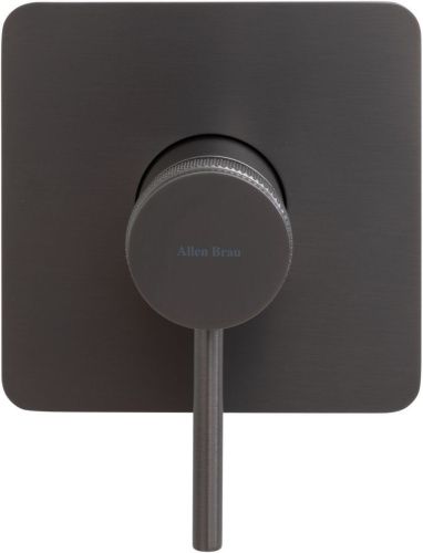 Смеситель для душа Allen Brau Priority 5.31012-MG встраиваемый в стену серый - фото 3