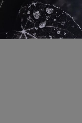 Раковина керамическая Allen Brau Fantasy 4.11021.SM 50х40 накладная цвет розовый без отверстий под смеситель - фото 5